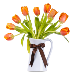 Tulipanes