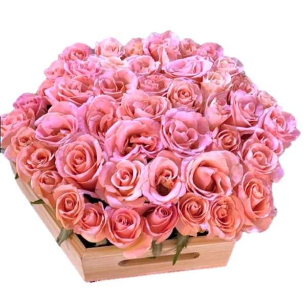 Rosas base hexagonal